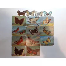 Figuritas Mariposas Antiguas Lote X 15 Cromos Ro 771