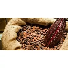 Pelador De Cacao