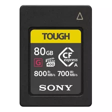 Memoria Sony Tough 80 Gb