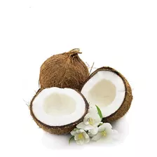 Kefir De Leite De Coco Iogurte Natural Vegetal