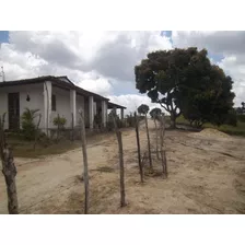 Sitio São Dimas - Vendo Com 4 Ha.