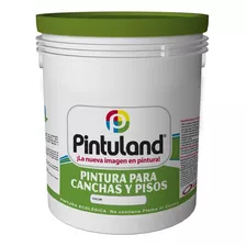 Pintura Para Canchas Y Pisos