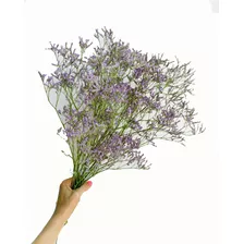 Ramo Flores Secas Caspia Violeta
