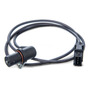 Banda Accesorios Daewoo Leganza 2001 4c 2.2 Contitech 6k1885