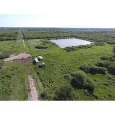 Campo En Formosa Argentina Agricola Ganadero Desmonte