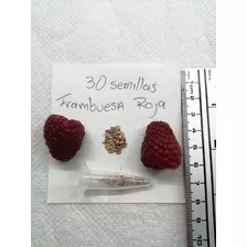 Frambuesa Roja Semillas (30 Unidades)