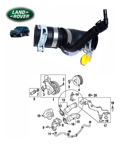 Manguera Radiador Land Rover / Range Rover Sport Foto 6