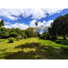 Venta Chacra Terreno 6,2 Ha - Barros Blancos - Proximo A Los Barrios