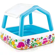 Piscina Inflablecon Techo Removible 157 X 122cm Para Niños