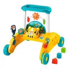 Andador Infantil De Dois Lados Primeiros Passos Fisher Price