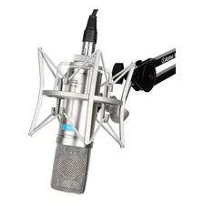 Microfone Condensador Alctron Cm6 Mkii Broadcast Estúdio Cor Prateado