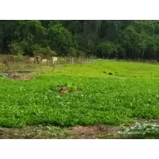 Te Vendo Excelente Finca En Bonao