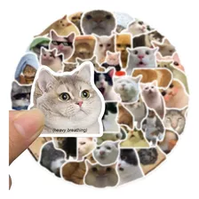 Set Stickers - 50 Stickers De Gatos Famosos De Internet Meme