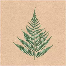 Pct. De Guardanapos Ambiente 20 Un. Fern Leaf