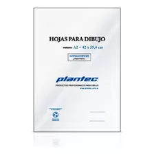 Hojas A2 Plantec Pack Por 10 Hojas Dibujo Tecnico