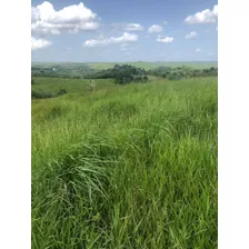 Vendo Esta Finca De 212 Tareas En Sabana Grande De Boya