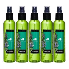 Home Spray Perfume Ambiente P/ Casa E Roupas Kit 5 Unidades