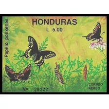 Fauna - Mariposas - Honduras - Hojita Block Mint