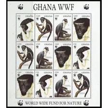 Fauna - Wwf - Mono Diana - Ghana - Hojita Mint