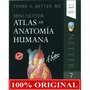 Primera imagen para búsqueda de atlas de anatomia humana netter