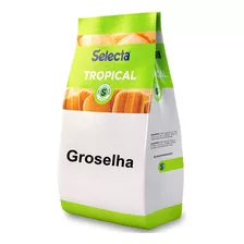 Selecta Tropical Groselha 1kg