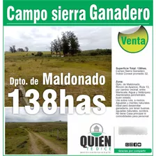 Venta Campo Sierra Ganadero En Maldonado 