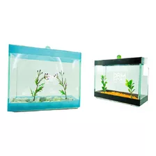 Aquário Duplo Invisível 20x10x15 2,8l Beteira 2 Bettas Full