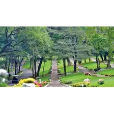 Jazigo Cemitério De Congonhas - Excelente Localização