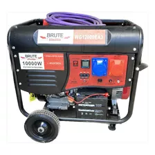 Grupo Electrógeno Marca Bute Modelo Wg 12000 Ea3 , Bifasico