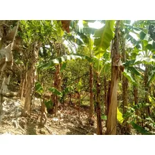 Se Vende Finca En Puerto Plata