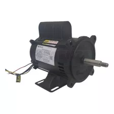 Motor Elétrico 1/2cv Para Bomba Piscina 110/220v Igui