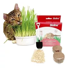 Kit De Cat Grass Hierba Gatera Catnip Pasto Bioline