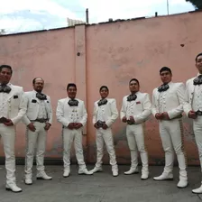 Mariachis De Calidad 5515230385 Whatsapp 