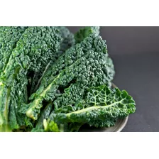 Semillas De Kale Organico Bella Huerta Epoca De Siembra