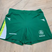 Palmeiras Camisa Original Da Época Shorts Id:02747