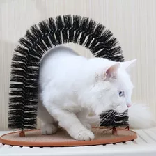 Brinquedo Arco Massageador Com Catnip Arranhador Gatos