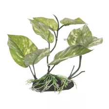 Planta Decorativa Para Acuario Fluval Cola De Lagarto 17 Cm