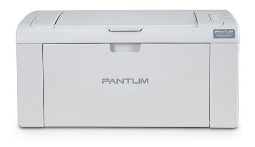 Impresora Pantum Hero P2509w Con Wifi Negra 220v - 240v Gris