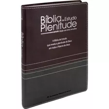 Bíblia De Estudo Plenitude Sbb, Capa Sintética Bordô/chumbo, Tamanho Grande Com Índice, Almeida Rc - Arc085bppjv