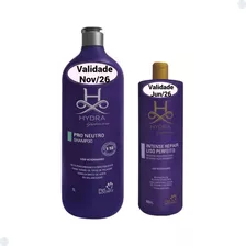 Kit Shampoo Neutro 1l E Mascara Intense Liso Perfeito 480ml 