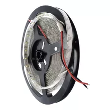 Tira 300 Leds 2835 5m 24w Exterior Blanco Frio Winled Wti-00