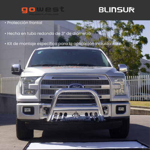 Burrera Protector Bar Ford Lobo F150 2009-2014 Inox Foto 3