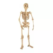 Esqueleto Humano - Quebra Cabeça 3d Em Mdf 3mm - 119 Peças