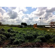 Rancho Ganadero Con Tierras Agrícolas, Tizimín, Yucatán.