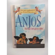 Livro Anjos - Tudo Que Você Queria Saber - Biba Arruda E Mirna Grzich [1995]