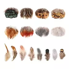 Mwoot 8 Estilos De Plumas De Artesanía Surtidos 160