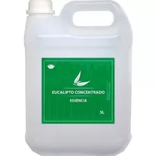 Essência Eucalipto Para Produtos De Limpeza 5000 Ml