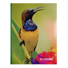 Libretas Una Linea Colibri Grapadas 100hojas 24x19cm Xdocena