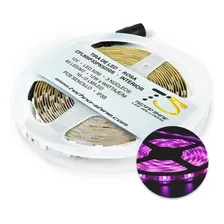 Tira Led 5050 Cinta Flexible 12v Ip33 5 Metros Luz Rosa