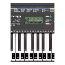 Adesivo Notas E Cifras Teclado Até 61 Teclas + Partituras
